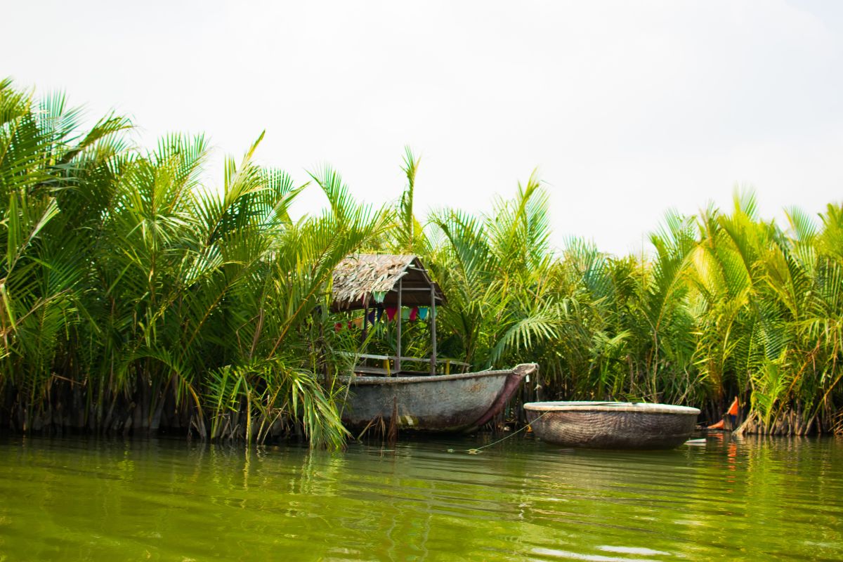 Bay Mau water coconut forest in Hoi An